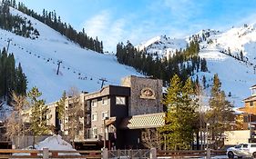 Red Wolf at Squaw Valley